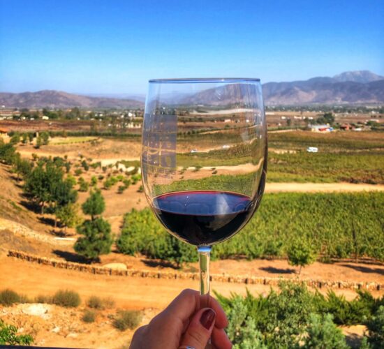 WIne Glass in Guadalupe Valley