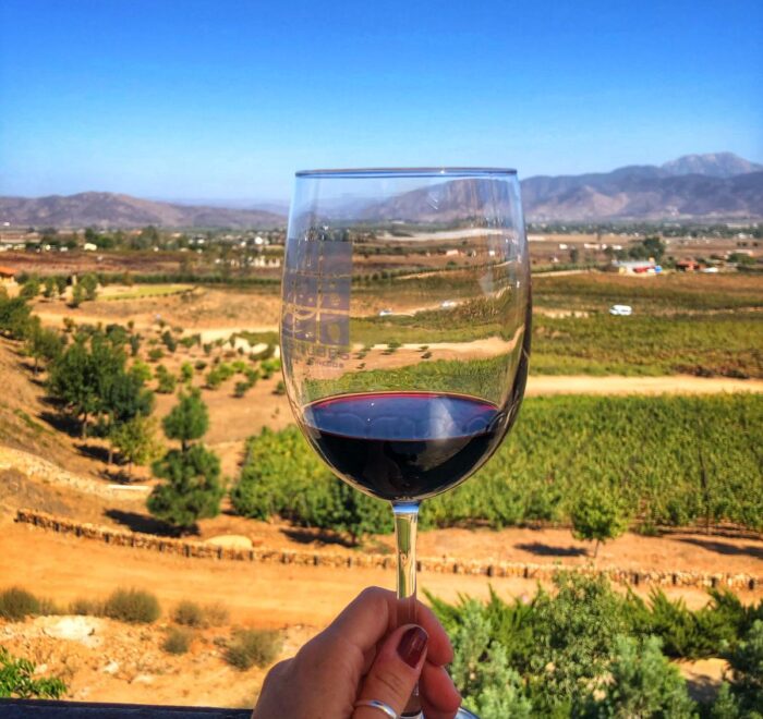 WIne Glass in Guadalupe Valley